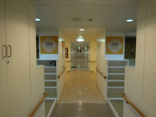 ���ߤ��Υޥå�