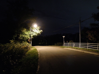 しばらく街灯がない区間を走ったあとに街灯を見るとほっとする。右へ行くと立命館慶祥高校、直進すると西の里中学校・国道274号方面