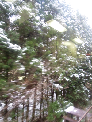 山に進んでいくにつれて、地面や木に雪が見られるようになってくる
