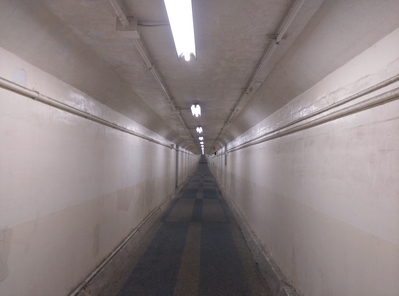 ������500m�ۤ��ϲ����⤯�����θ庣�٤ϳ��ʤ򤷤Ф餯�Ф�櫓�Ǥ���