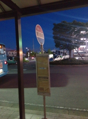 知立・刈谷と中部国際空港を結ぶバスが停車する。なお緒川から刈谷・知立へは他の路線バスが存在しないためか、同区間の区間利用（空港発着ではない）も可能になっている
