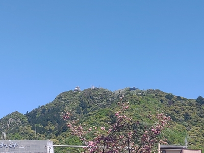ڻŤƤ