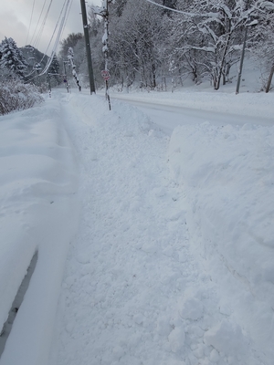 歩道は除雪されてはいたが、それでも積もってはいたので歩きにくかった。帰省の帰路ゆえスーツケースを引いていたのでなおさら