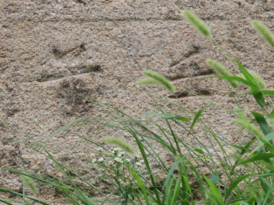 �ʤ������γ��ɤˤ����г��ϡ������ˤ�������ǯ������������٤η����ǽ񤫤�Ƥ���Τ�����