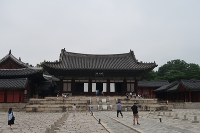 ���ĵ� ������