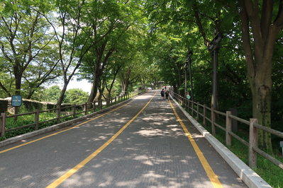 �Х��䤫��ϵޤʾ���򾯤��ʤ�