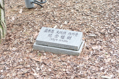 ���ˤʤä��ΤϿ�����ź�����Ƥ���ɽ������1990ǯ�λ����ʤ��ΤȤ�����ٶ������ΡˤǤ����ɽ�����ä�����