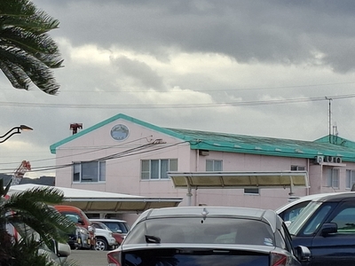 ��������Ƿɽ��