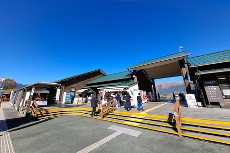 ��Ź���������ʪ