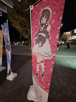 �Τܤ�ʾ����������