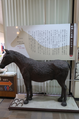 ���ĤƼ��������������餵��Ƥ����ϡ֥������ޡ�