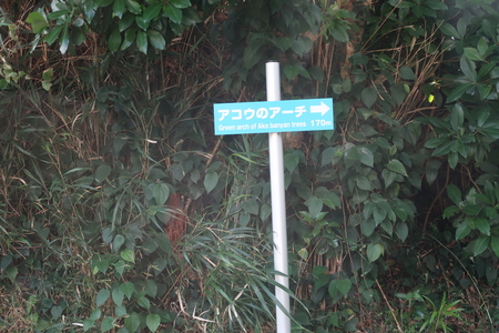 �������Υ�����