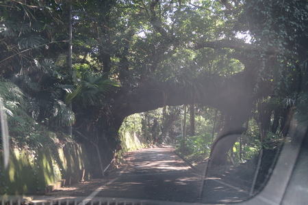 ���������ڡˤ�ƻϩ��ʤ�����֤��äƤ���