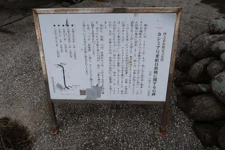 1885ǯ�˥���ꥫ�����֥����ߥ���פ����ˤ���ɺ�夷�����Ȱ��򤳤��ν�̱���߽��������Ȥ�Ͽ������