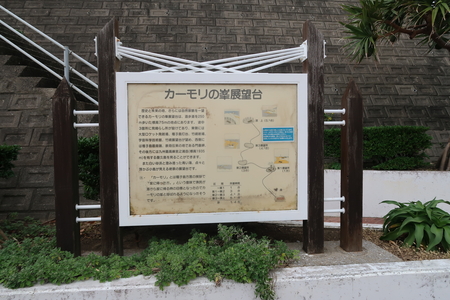 ��ʪ�Τ����᤯�ˡ�������Ϥ���֤�����Τ�����