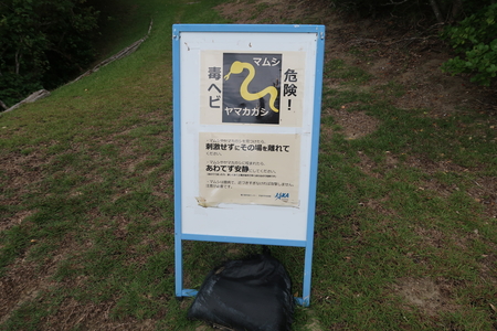 �ǥإӤؤ����մ������ʤ���Ƥ�����