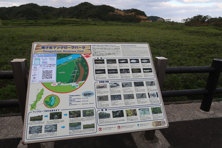 �����ޥ󥰥����֥ѡ���