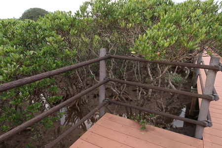 �������äƴֶ�Ǹ�����