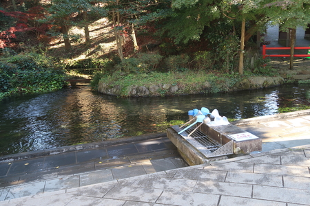 �츫�������Τ褦�����������Ͽ帻�����Ǥ��ꡢ�����ο夬�⤦���Τޤް����ΤǤ���