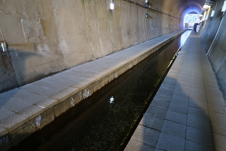 ��ϩ�����ꡢ���β���ƻ���⤤�ƹԤ���