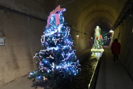 �������������ä����ᡢ���ꥹ�ޥ��ĥ꡼�������Ƥ���