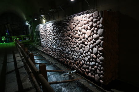 �����������ѡ��롣�夬���Τˤʤ�褦��ư��Ϳ���Ƥ���ȤΤ���