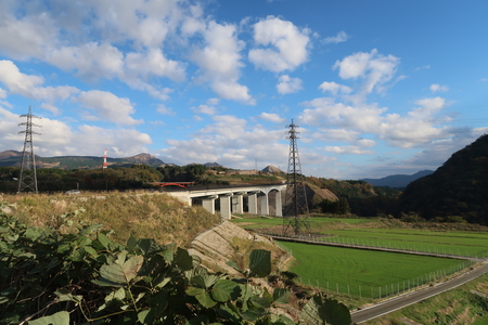 �������綶