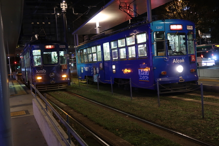 ���ܱ�����α��