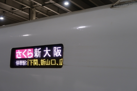 ��֤���������