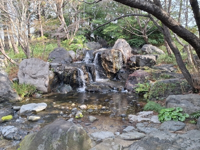 白鳥庭園/園内の小川