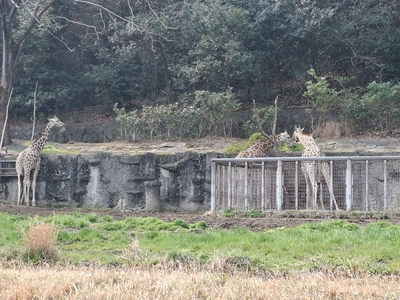 東山動植物園にて