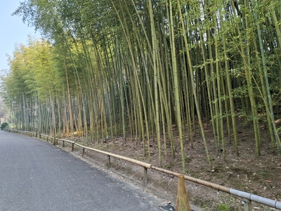 東山動植物園にて
