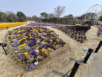 東山動植物園にて