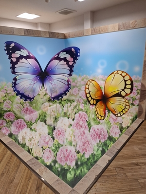 蝶のトリックアート