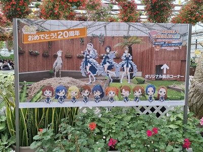 コラボ展示の案内